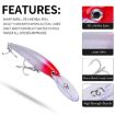 PROBEROS DW627 Large Minnow Lure, Long-Distance Casting Bionic Bait, Style A - 7