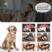 Ultrasonic Dog Teeth Cleaner Kit - Plaque & Tartar Remover, White - 9