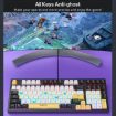 iMICE GK-500 Type-C Wired Mechanical Gaming Keyboard - Blue - 3