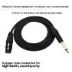 VEGGIEG 3m 3Pin XLR Speaker Cable Mixer Balanced Audio Mic Cable - 3