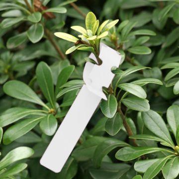 100 PCS White Hanging Tree Labels for Gardening Plant Saplings - 1