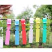Yellow 100 PCS Gardening Plant Sapling Seed Hanging Tree Labels - 5