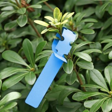 100 PCS Blue Hanging Tree Labels for Gardening Plant Saplings - 1
