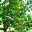 100 PCS Red Hanging Tree Labels for Gardening Plant Sapling Seeds - 4