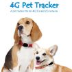 Waterproof RF-V43 GPS Pet Collar Tracker - Asia/Europe/Africa/Australia - 5