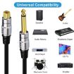 3m 6.35mm Mono Plug to RCA Female Audio Adapter Cable for Amp, Speaker - 5