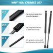 BMW E90 Hood Lift Supports 2pcs - Gas Charged Struts 51247060623 - 4